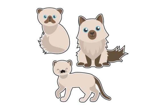 Cat Sticker Funny – A Versatile Graphic Illustration