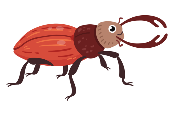 Stag Beetle Character for Local Business Branding